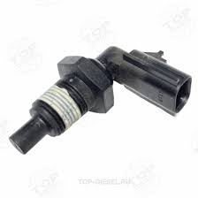 Без названия (4)