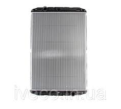 Без названия (4)