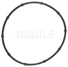 B32486