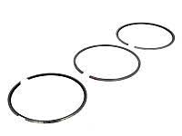 Без названия (3)