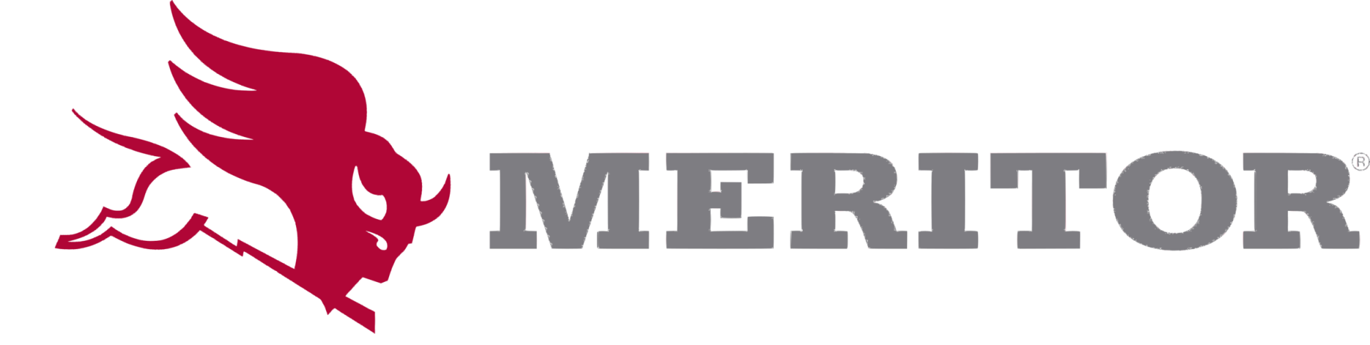 Meritor Meritor