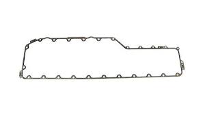 Без названия (5)