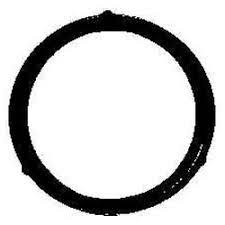 Без названия (6)