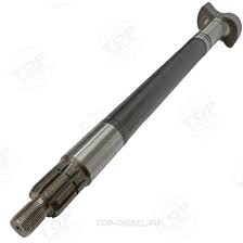 Без названия (3)